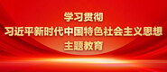 啊啊啊操死我了受不了了视频学习贯彻习近平新时代中国特色社会主义思想主题教育_fororder_ad-371X160(2)